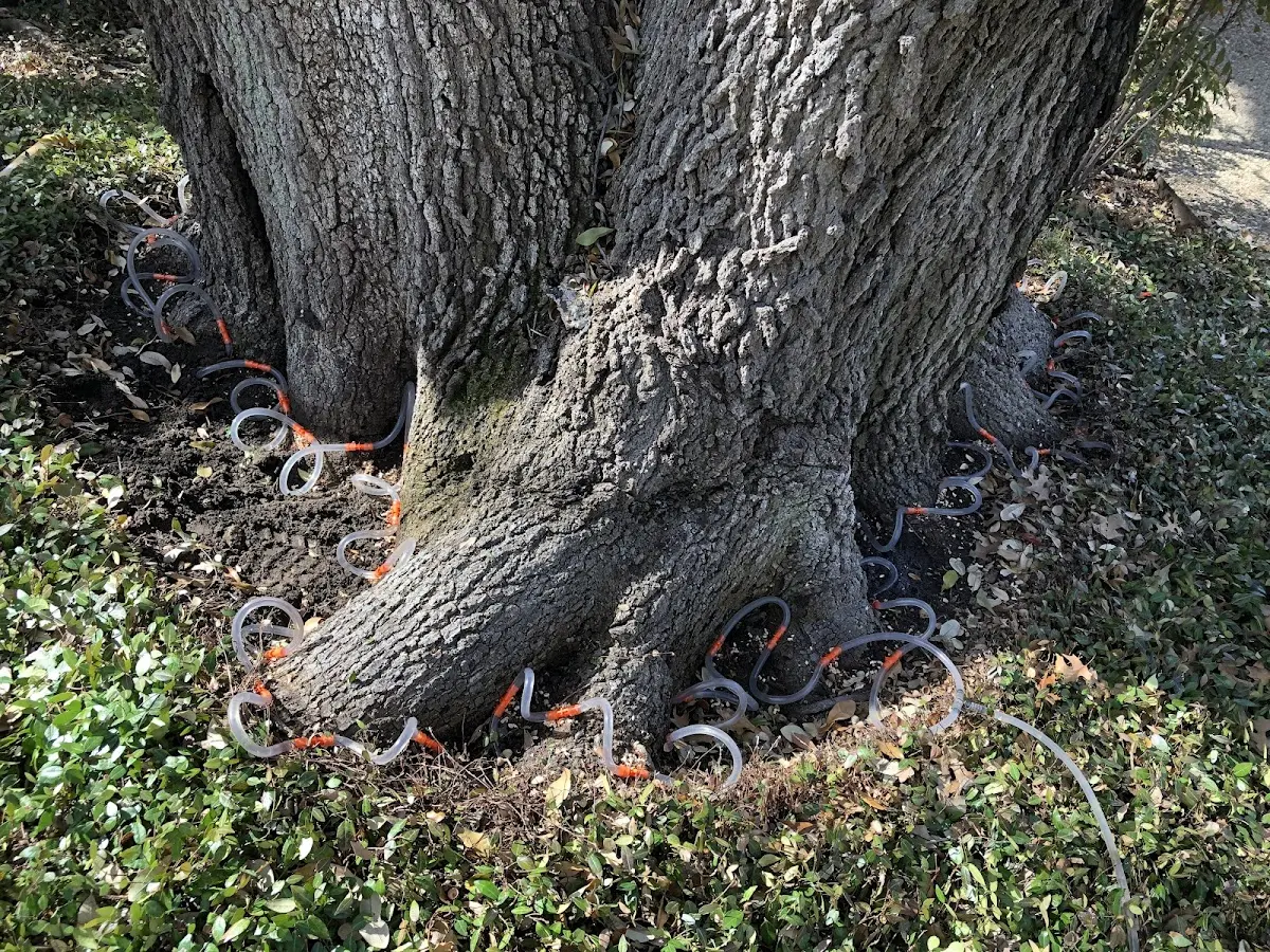 Detailed Shrub and Hedge Trimming job site in Grand Chain