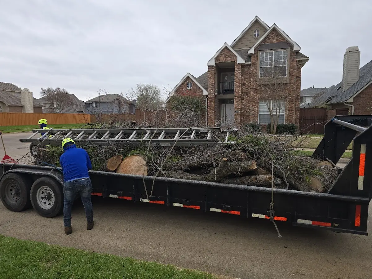 Expert Tree Removal with proper safety equipment in Grand Chain